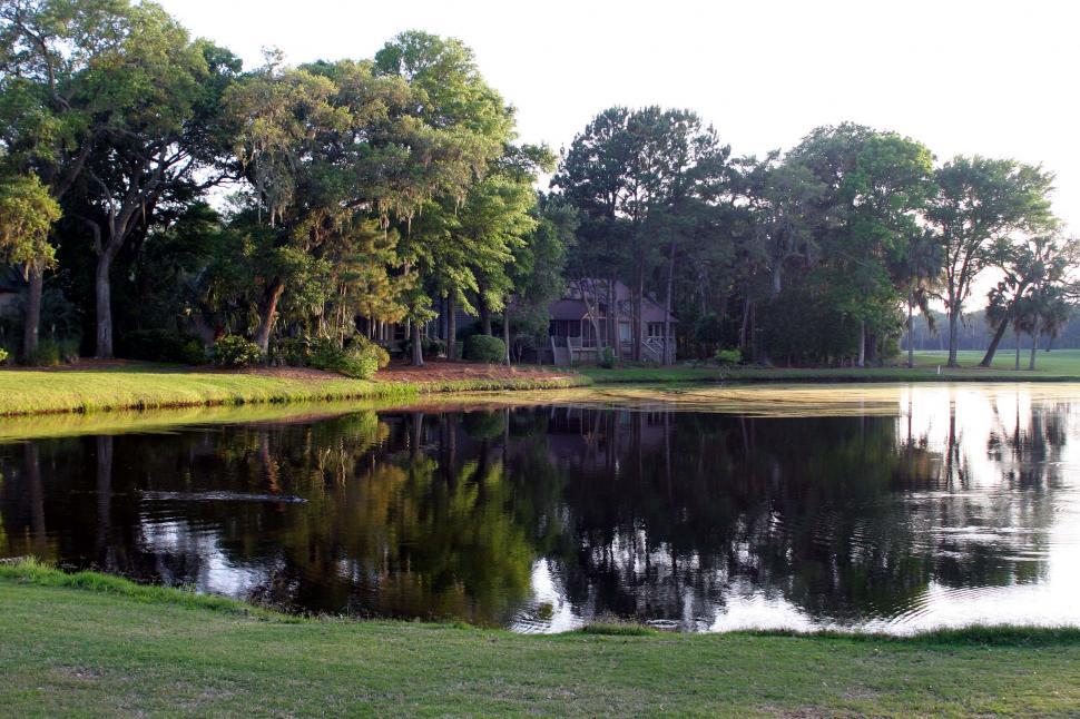 Free Image of A Pond in the Middle of a Golf Course 