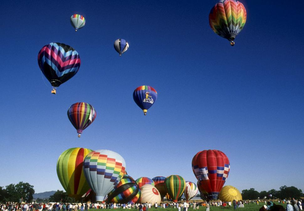 Free Image of hot air balloon rally 