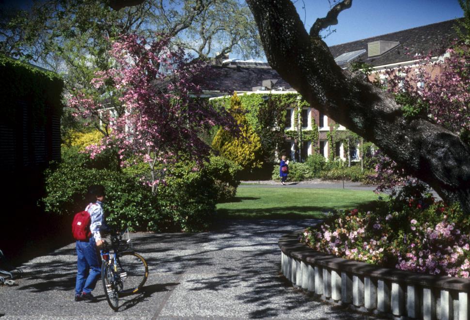 Free Image of student on campus 