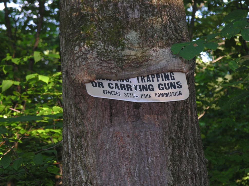 Free Image of Ingrown Sign 