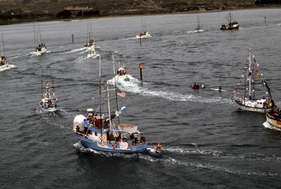 Free Image of parade of boats 