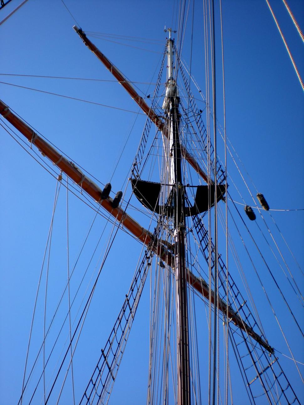 Free Image of Savannah - Peacemaker 