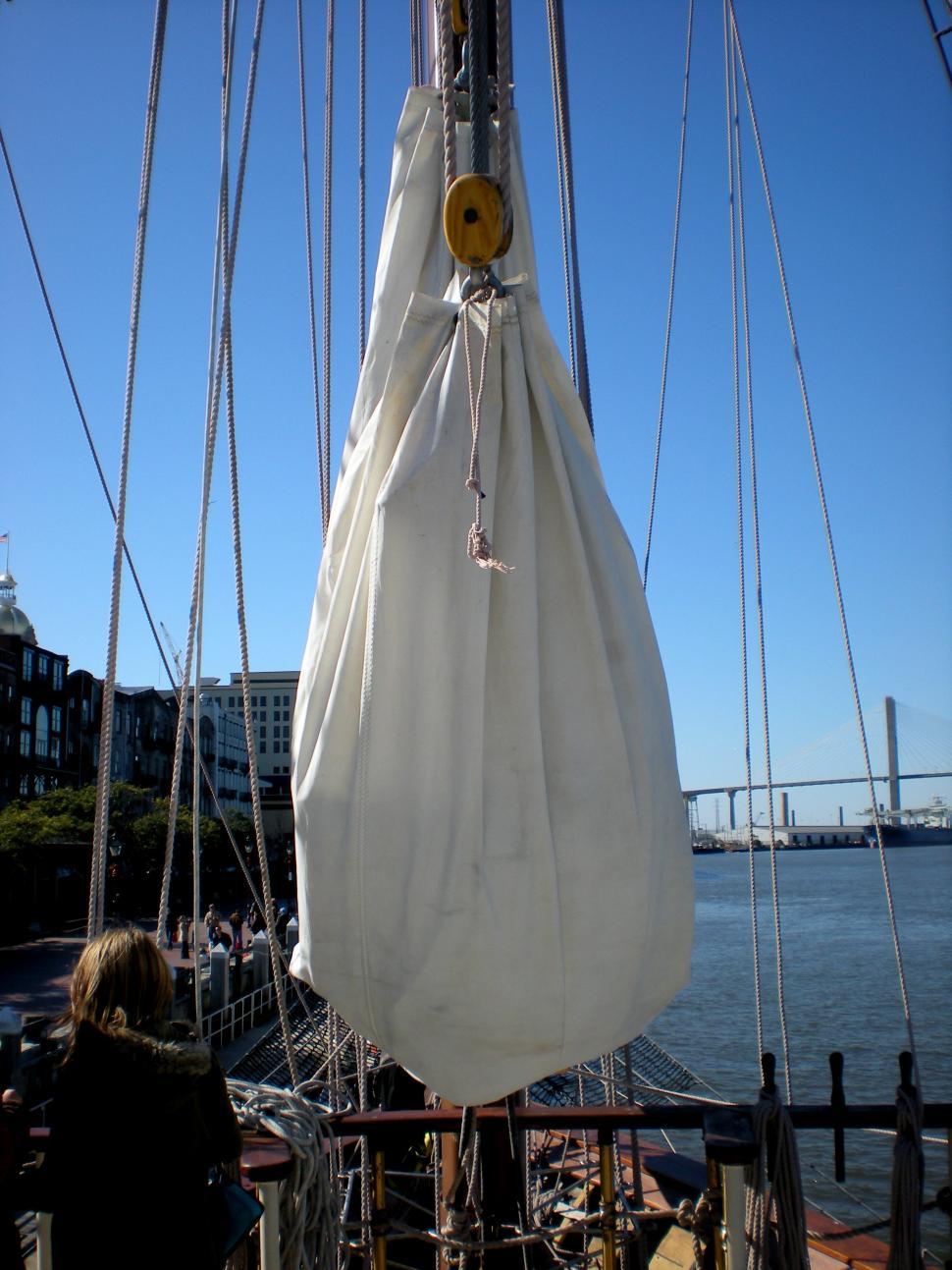 Free Image of Savannah - Peacemaker 