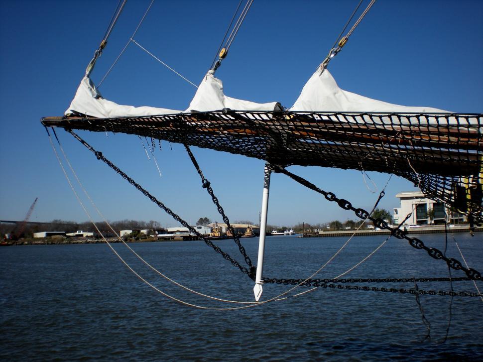 Free Image of Savannah - Peacemaker 