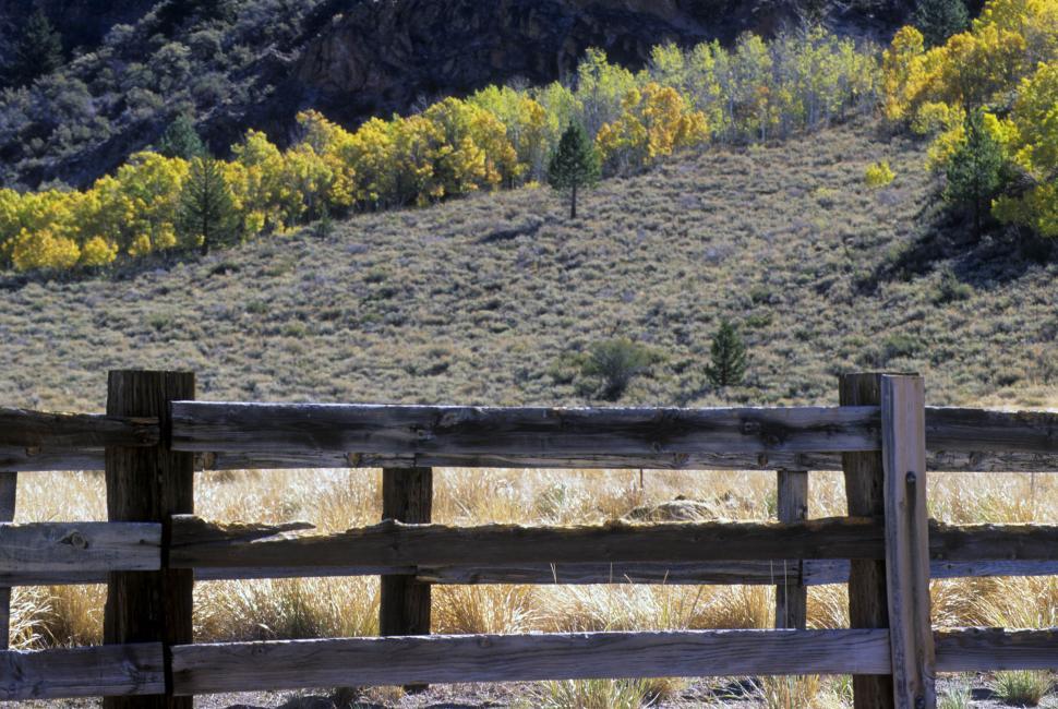 Free Image of old fence 