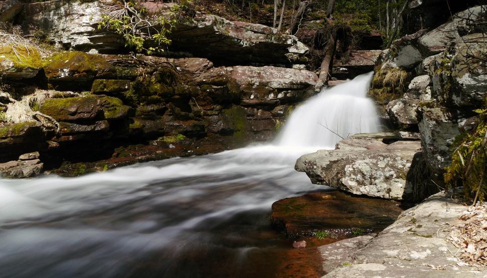 Free Image of Flowin Van Campens Glen 