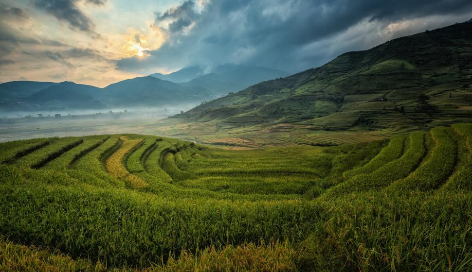 Free Image of Green Field With Mountains in the Background 