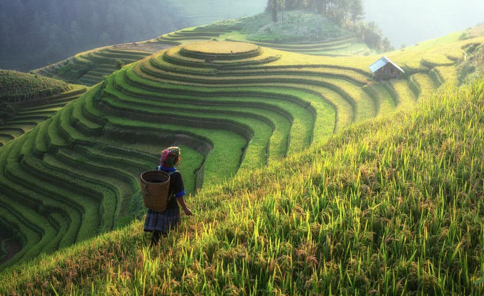 Free Image of Person Walking Up a Hill With a Backpack 