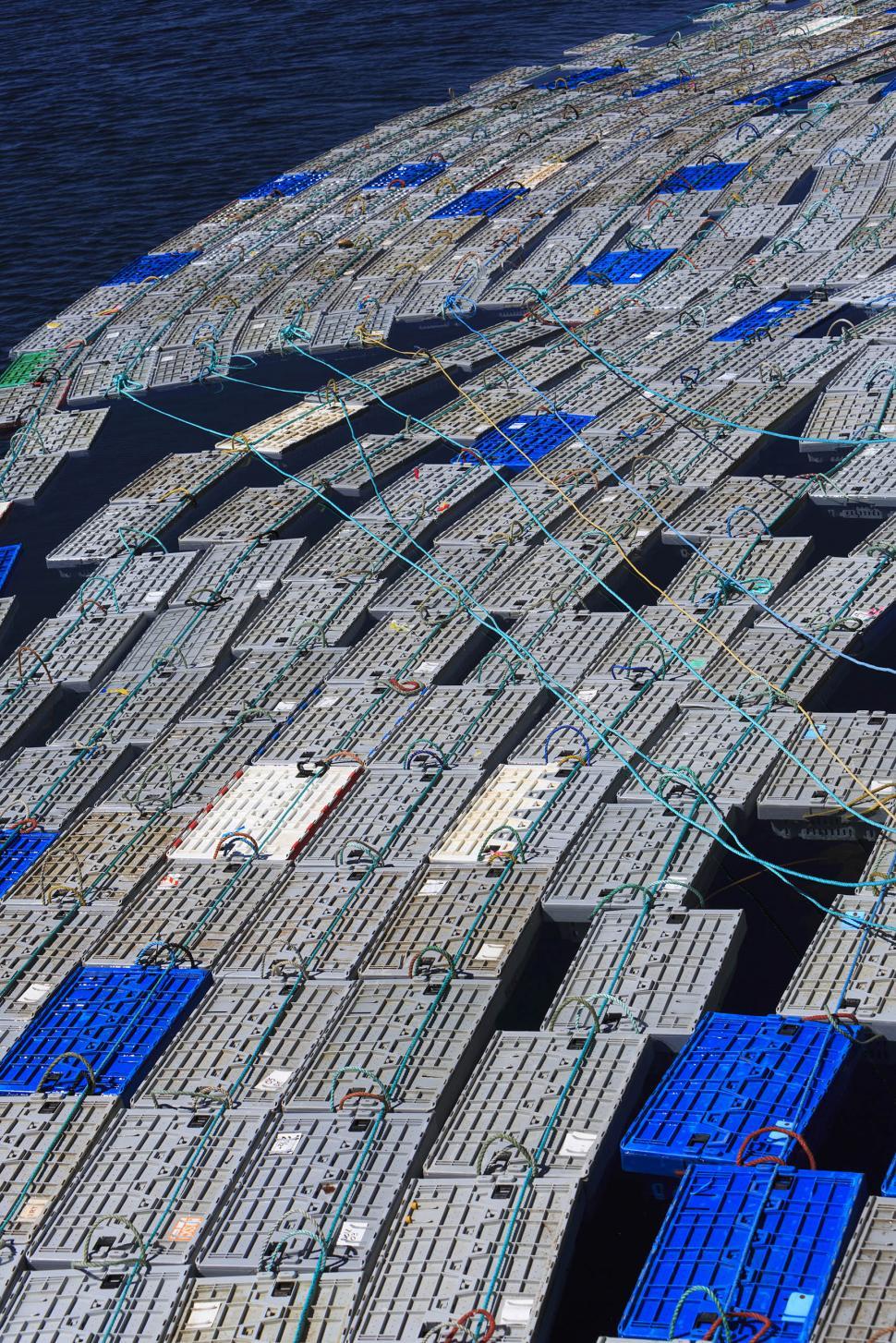 Free Image of lobster pens 