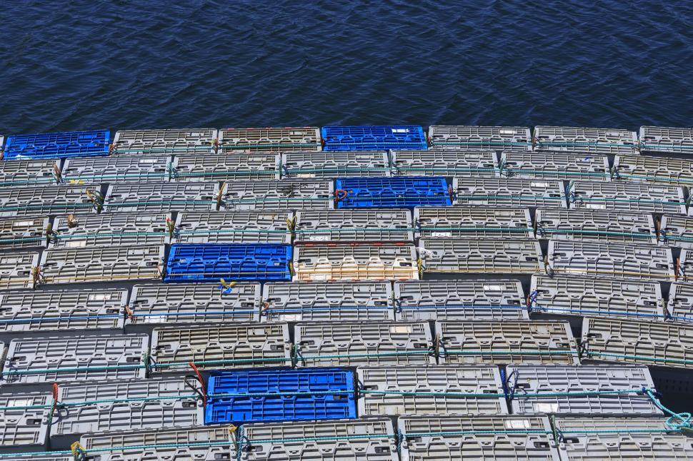 Free Image of lobster storage 