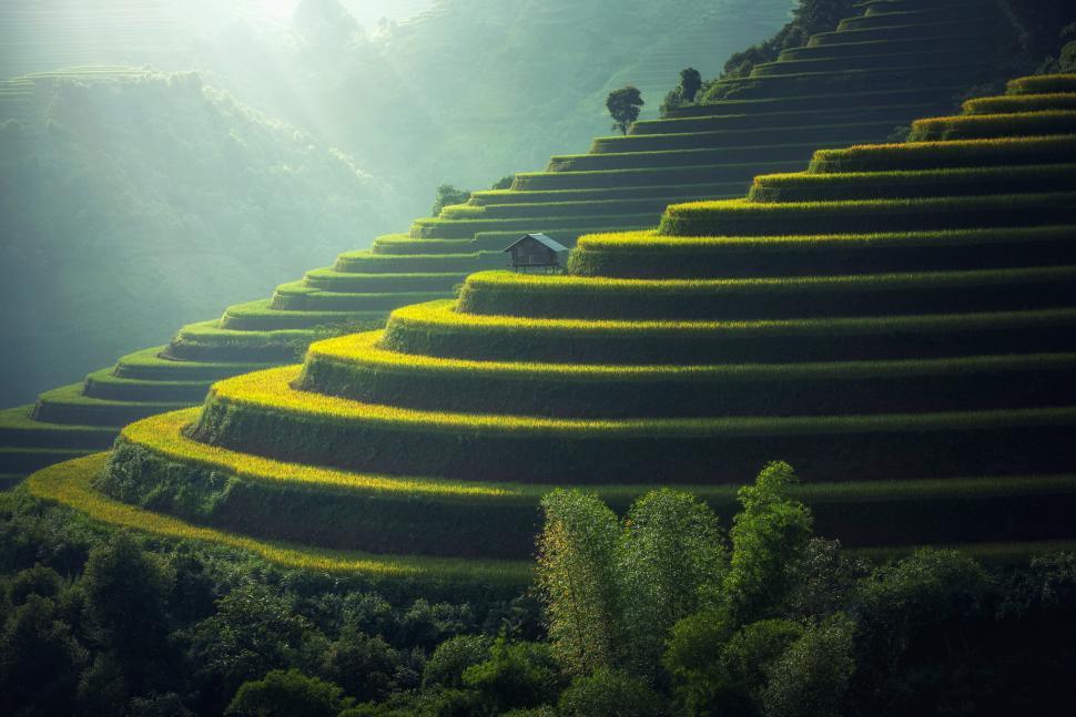 Free Image of Long Row of Stairs Amidst Mountain 