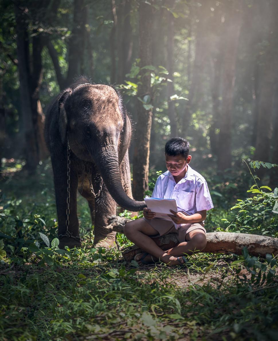 Free Image of Man Sitting Next to Elephant 