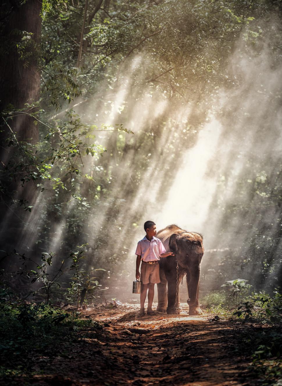 Free Image of Man Standing Next to Elephant on Dirt Road 