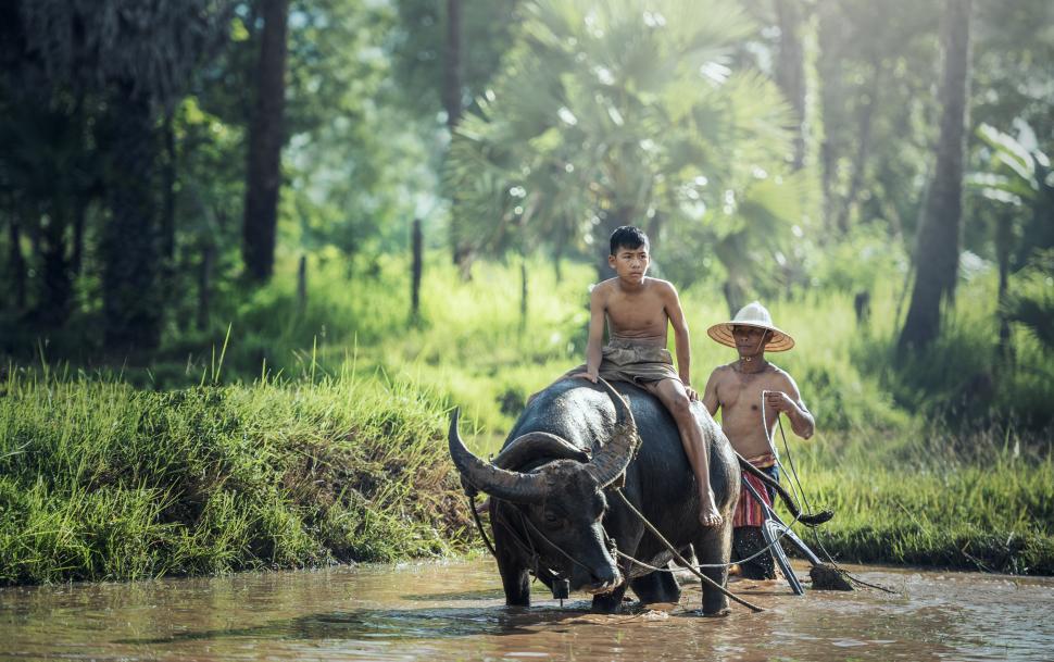 Free Image of Two People Riding on the Back of an Elephant 