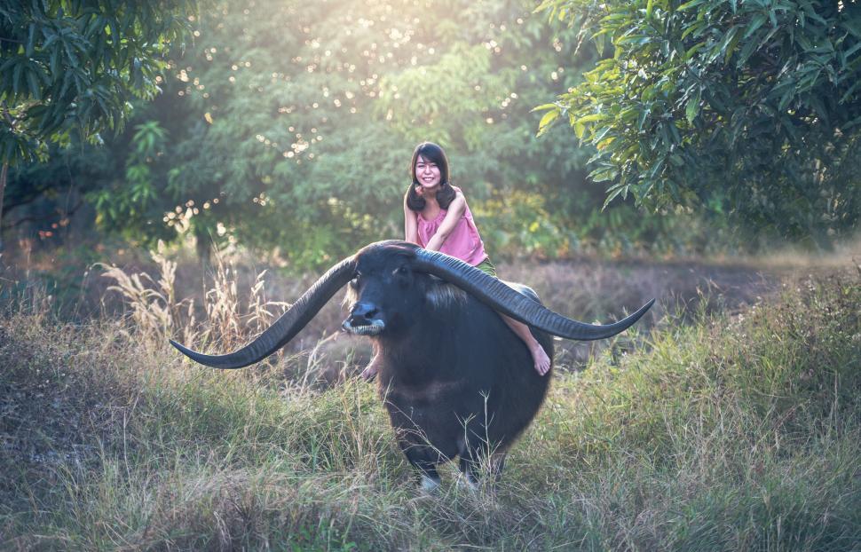 Free Image of Woman Riding on the Back of an Animal 