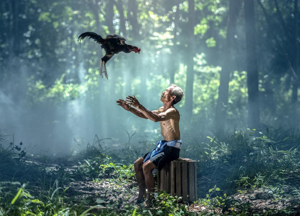 Free Image of Man Sitting on Bench With Bird Flying Over 