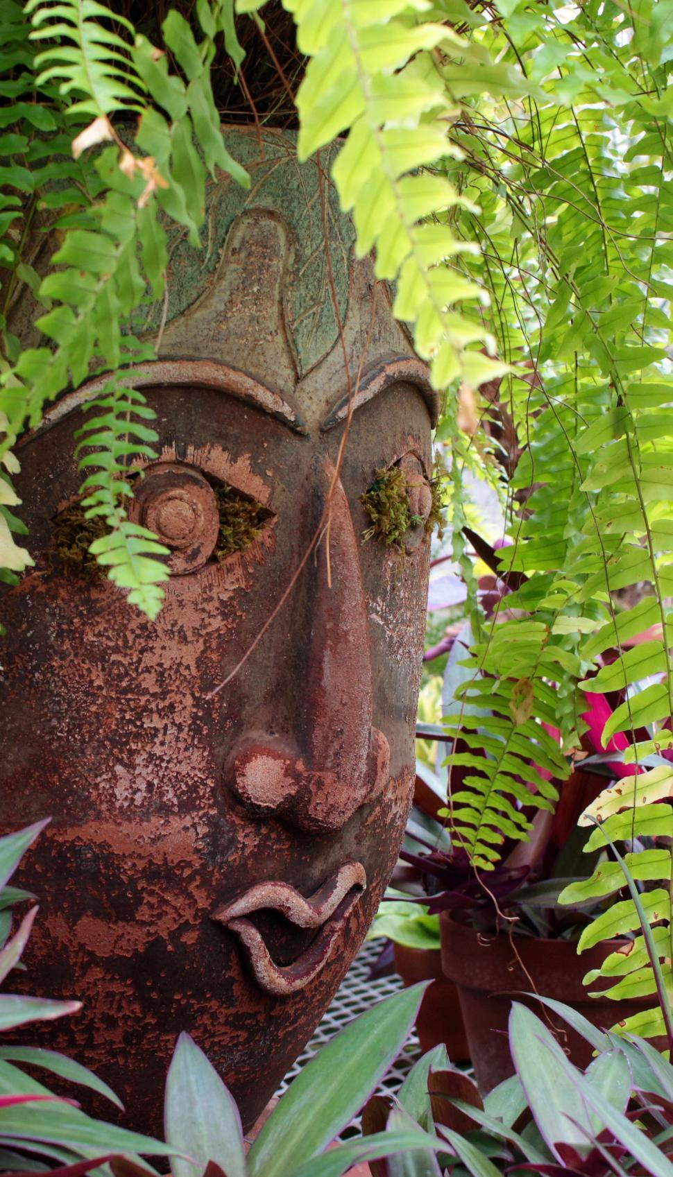 Free Image of Fern and Ornament 