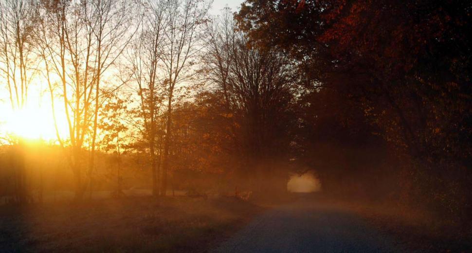 Free Image of Dusty Road 