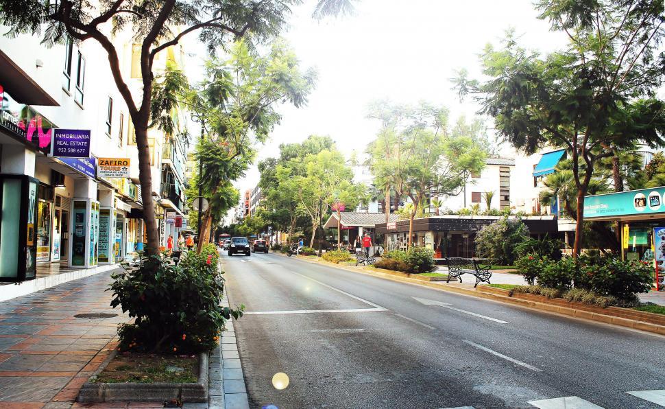 Free Image of Tree-Lined Street With Empty Shops 