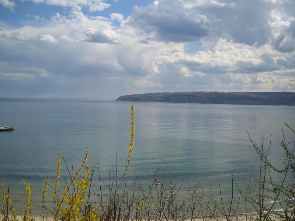 Free Image of Sea mirror 