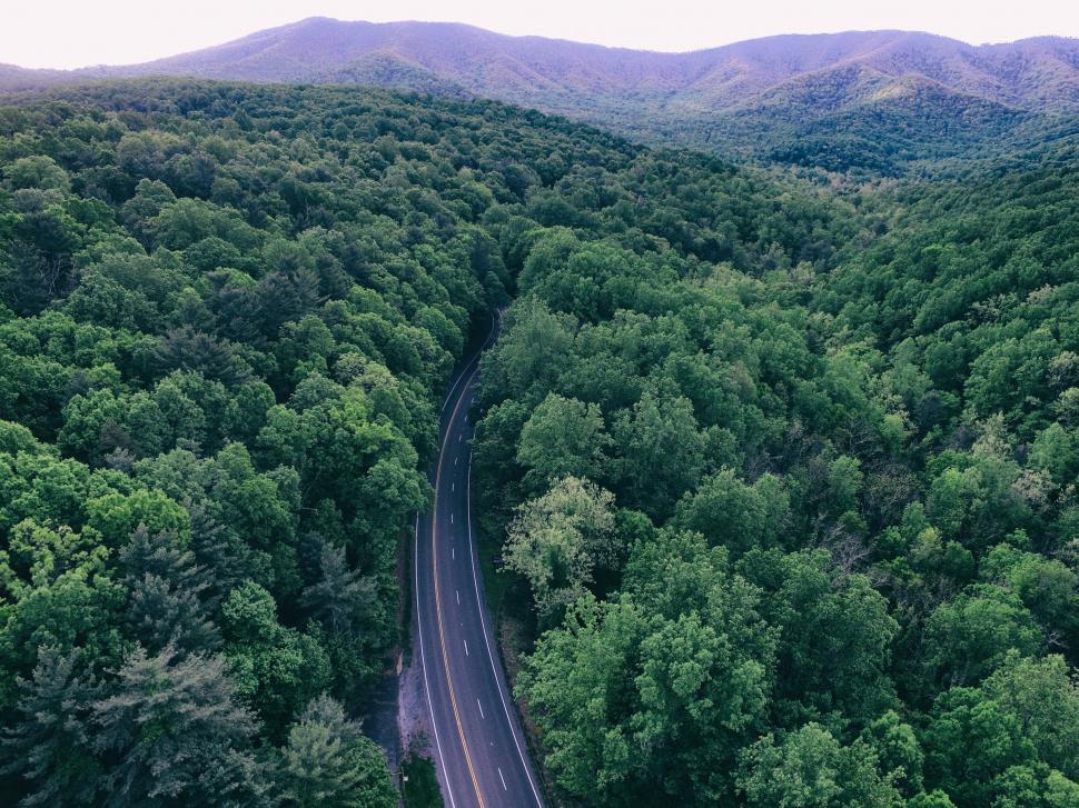 Free Image of Aerial View of Road Surrounded by Trees 