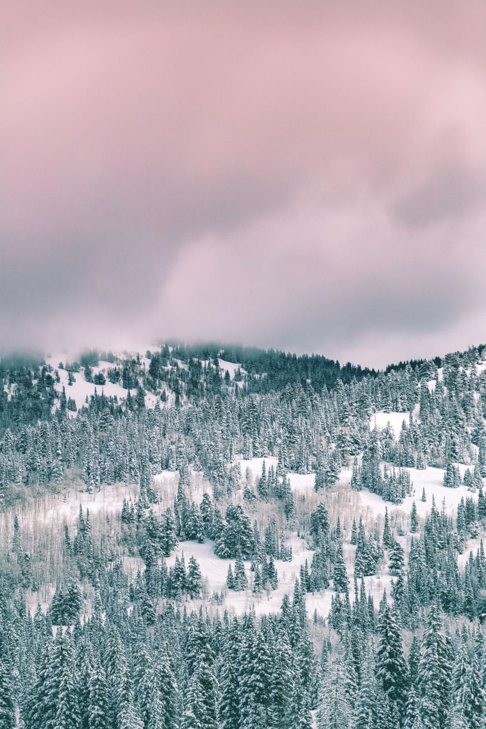 Free Image of Snow-Covered Mountain and Trees Under Cloudy Sky 