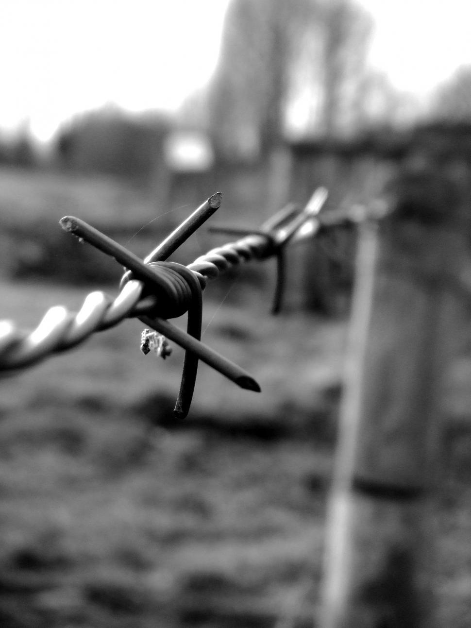 Free Image of with the war in ideas 