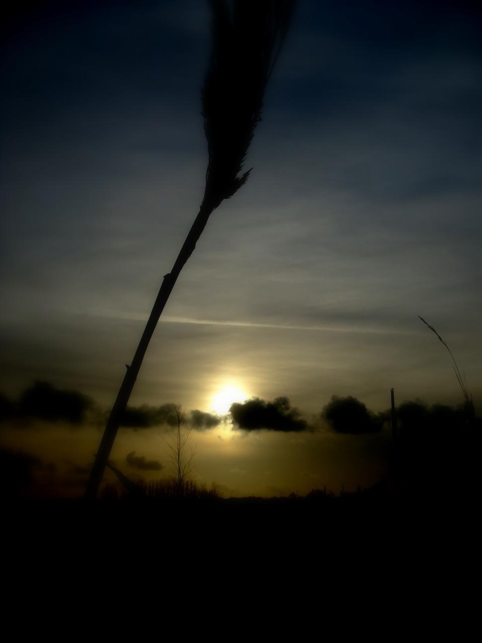Free Image of the mysterious sheer on forefront 