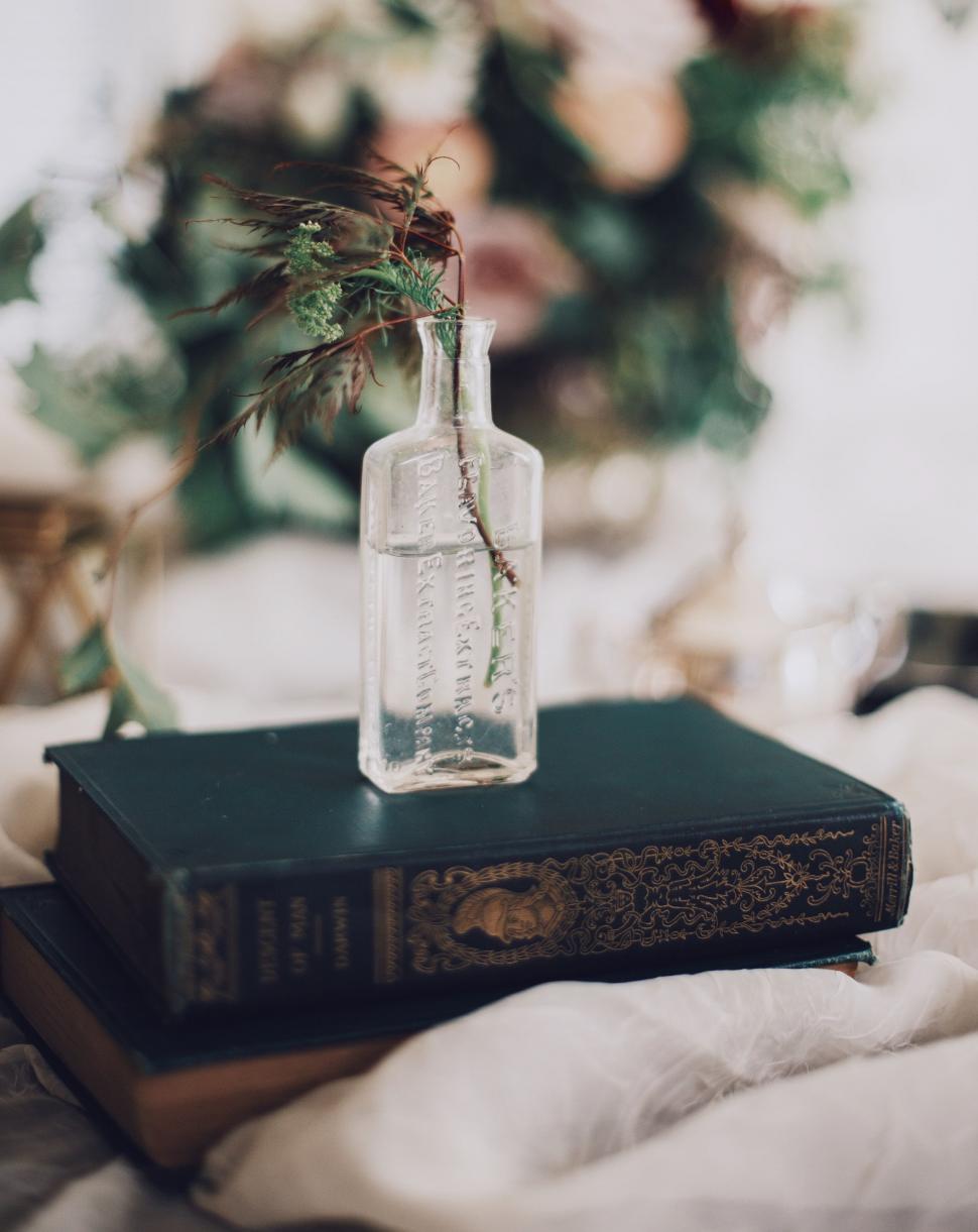 Free Image of Plant Bottle on Book 