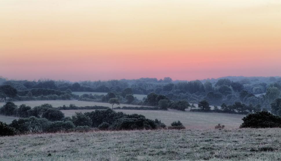 Free Image of Trees in the Distance Across a Field 