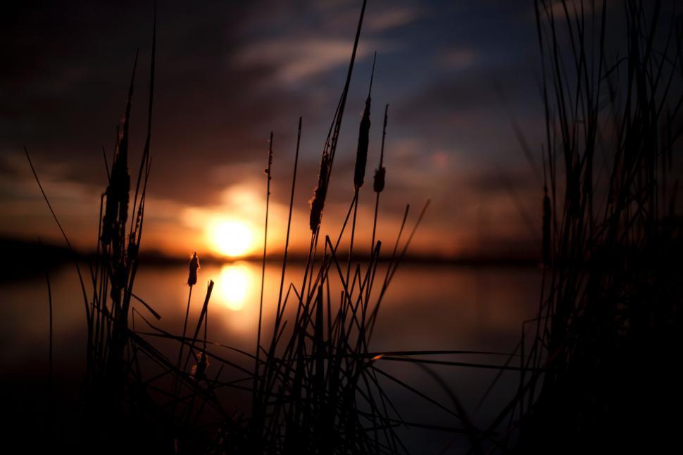 Free Image of Sun Setting Over Water 
