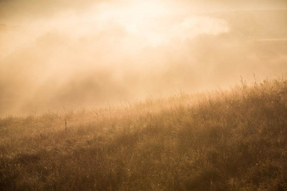Free Image of Person Riding Horse on Foggy Day 
