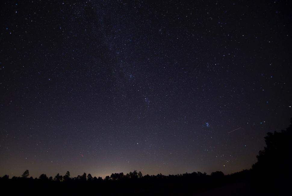 Free Image of Starry Night Sky With Trees 