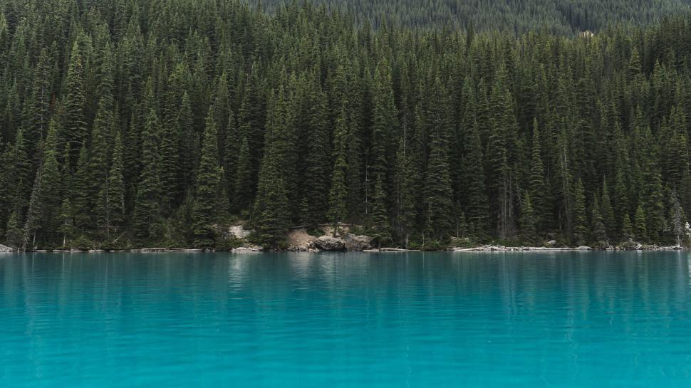 Free Image of Boat Floating on Lake Beside Forest 