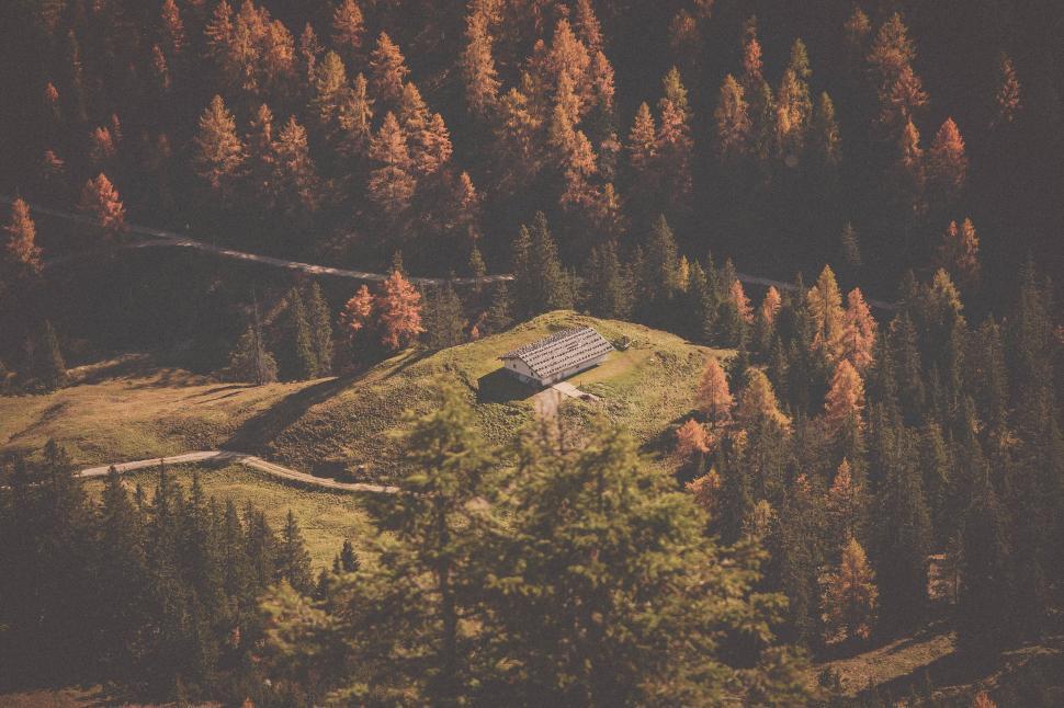 Free Image of Aerial View of Wooded Area With Bench 