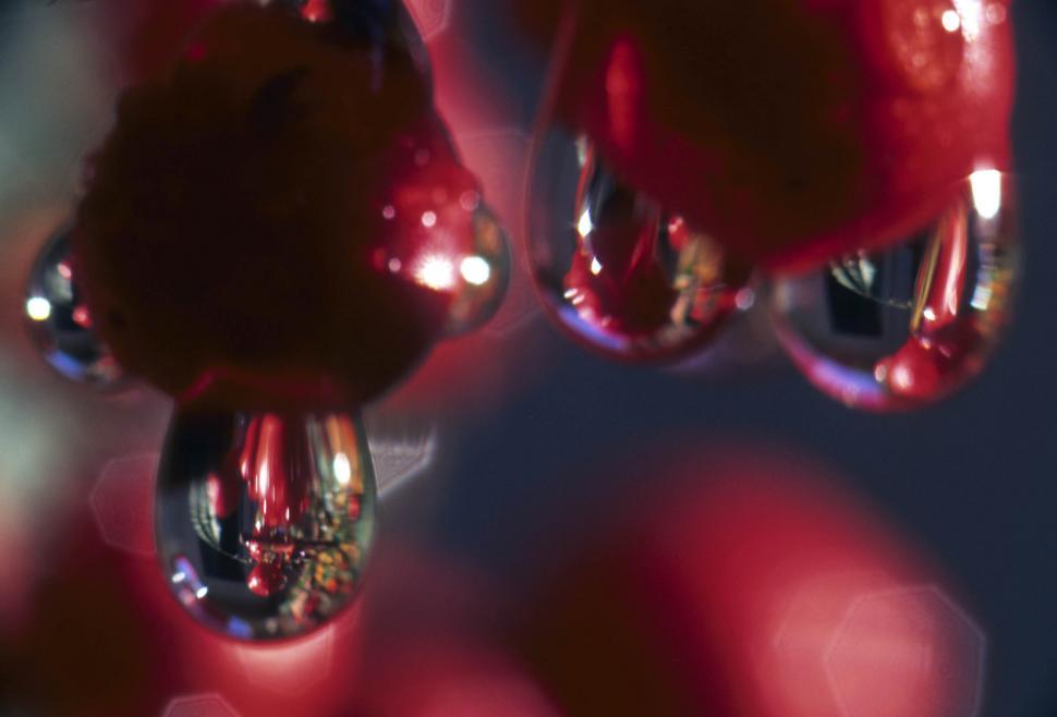 Free Image of reflections in drops 