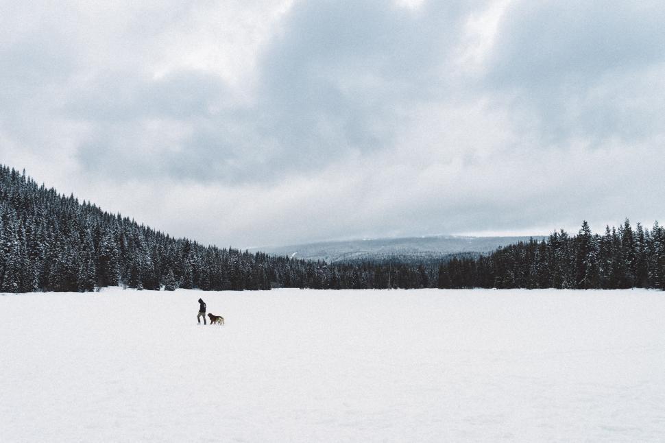 Free Image of Person Walking Dog Across Snow Covered Field 