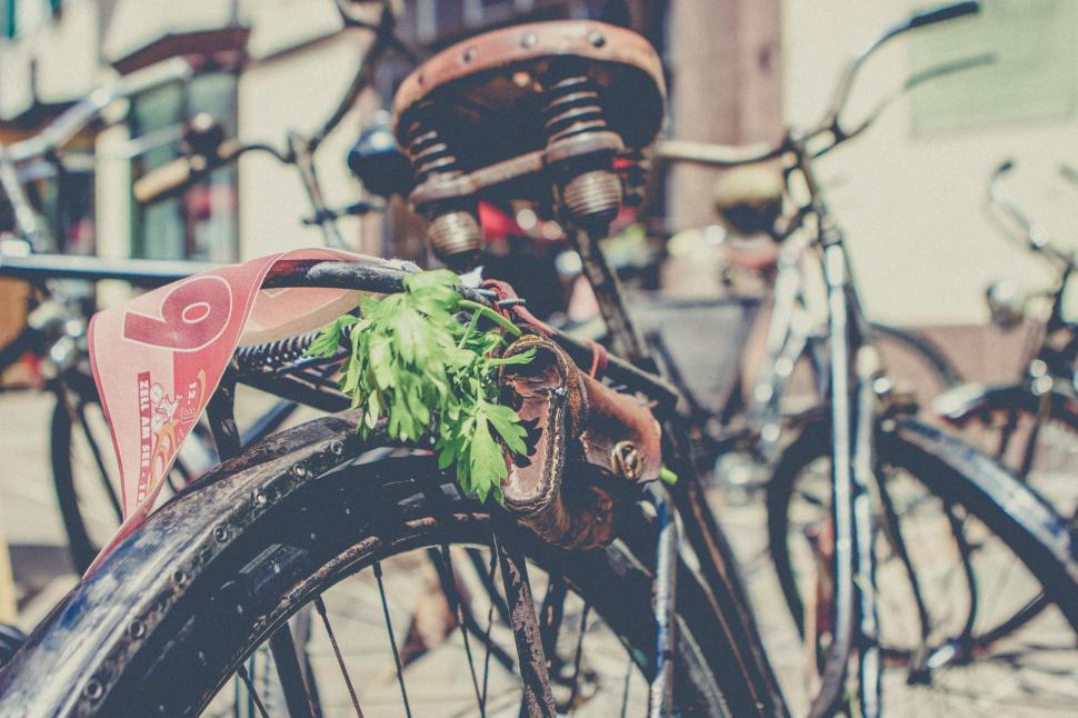 Free Image of Close Up of a Bicycle Surrounded by Multiple Bikes 