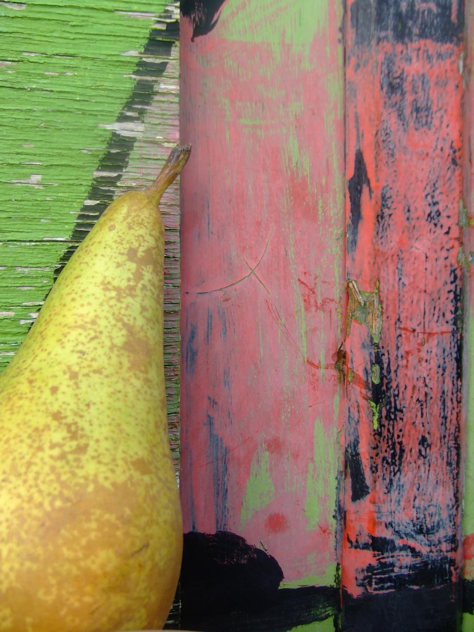 Free Image of meet my friend: pear 