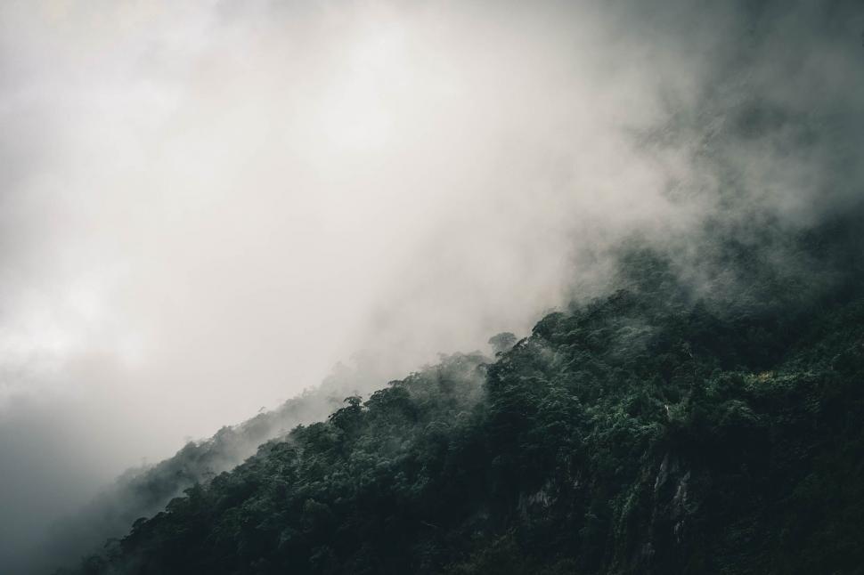 Free Image of Bird Flying Over Mountain 