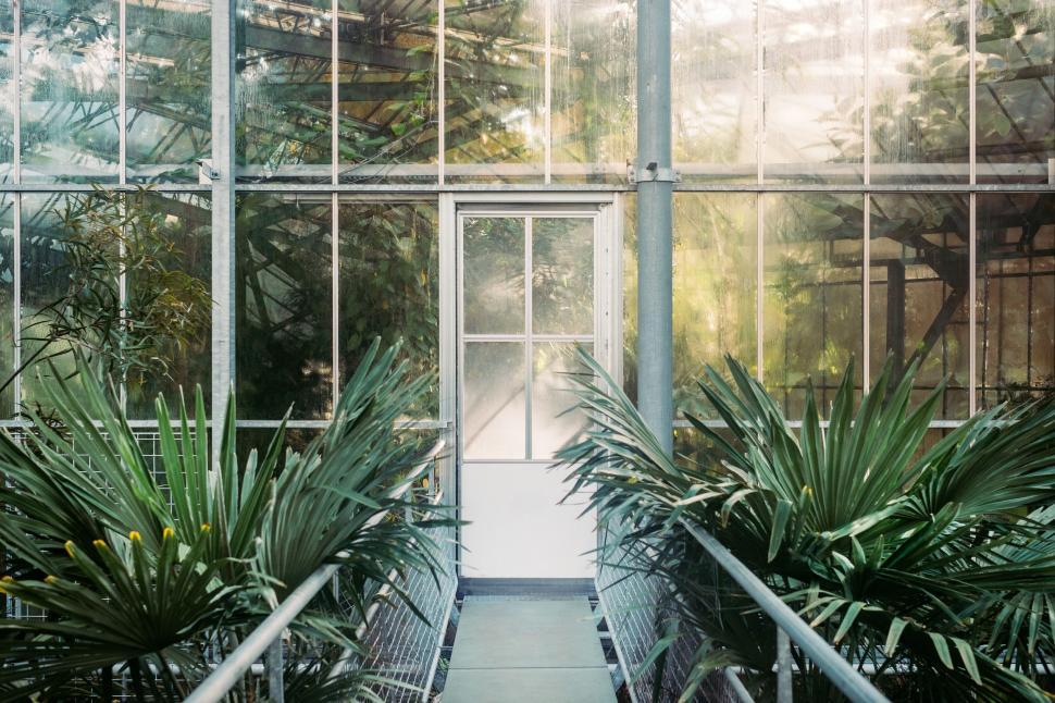 Free Image of Pathway Leading to Large Greenhouse Filled With Plants 