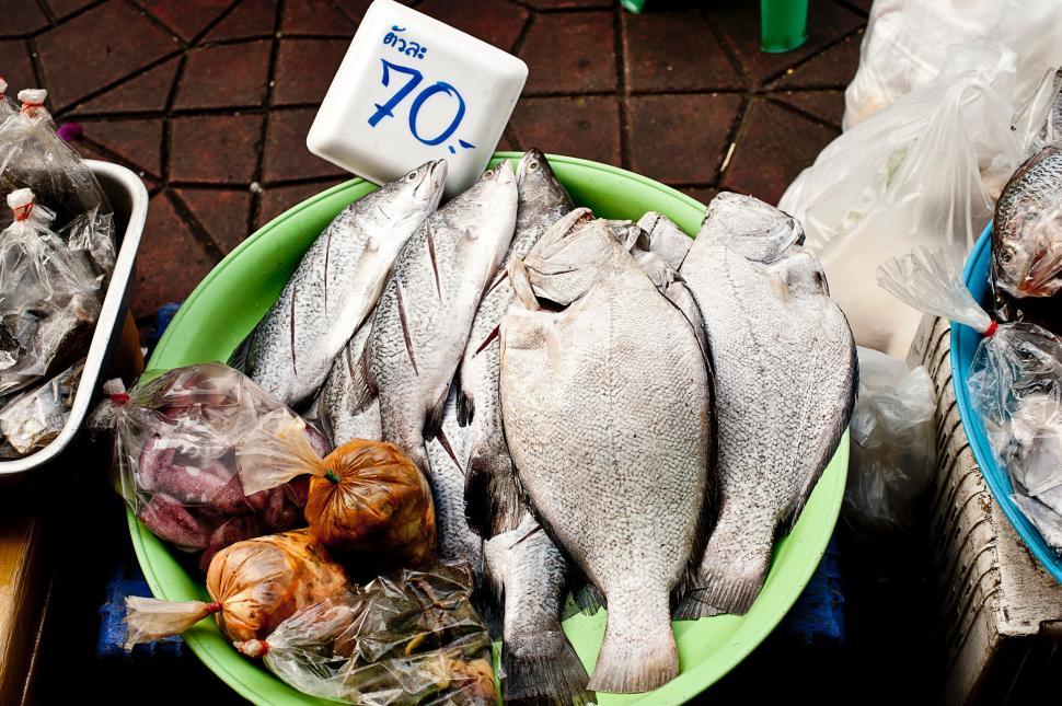 Free Image of Green Plate With Lots of Fish 
