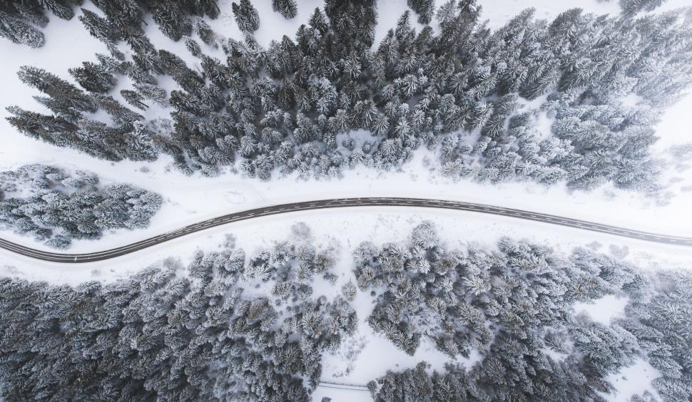 Free Image of Aerial View of Road Cutting Through Forest 