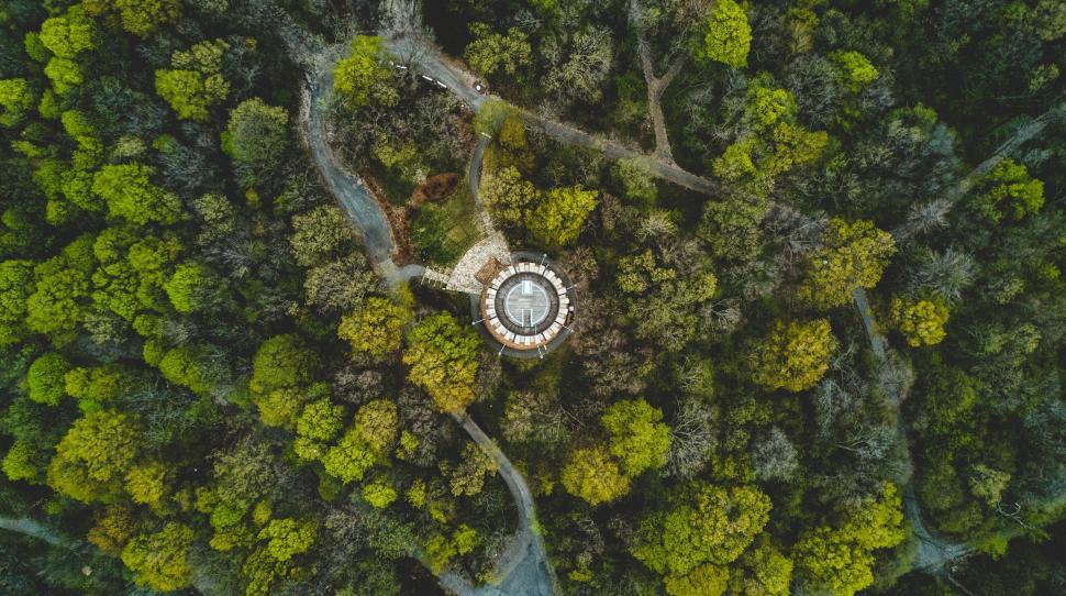 Free Image of Building Nestled Amongst Dense Forest 