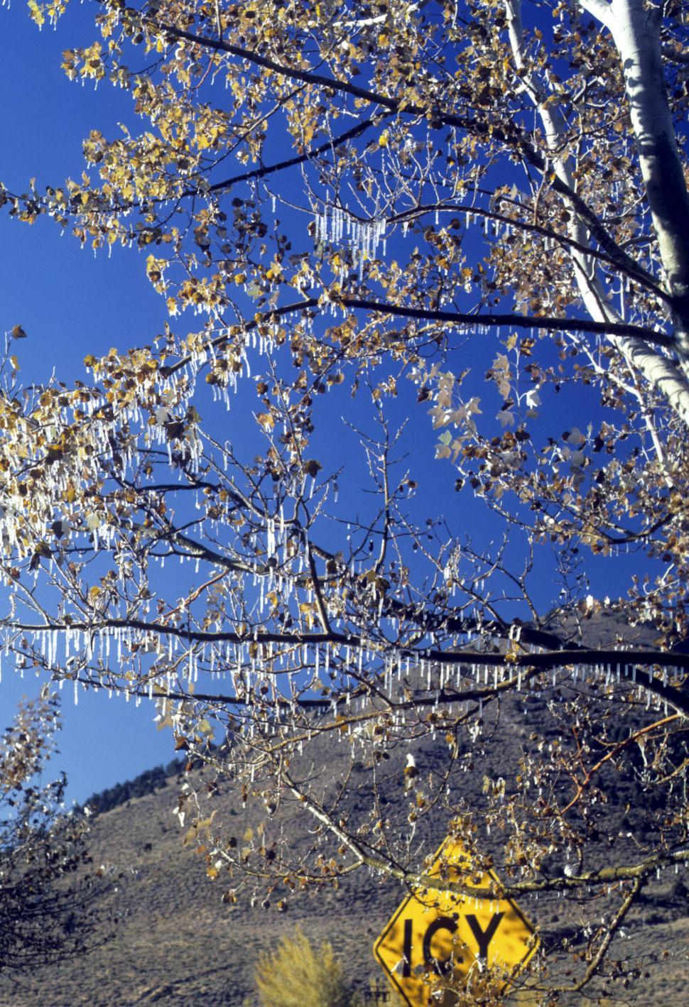 Free Image of icy sign warning 