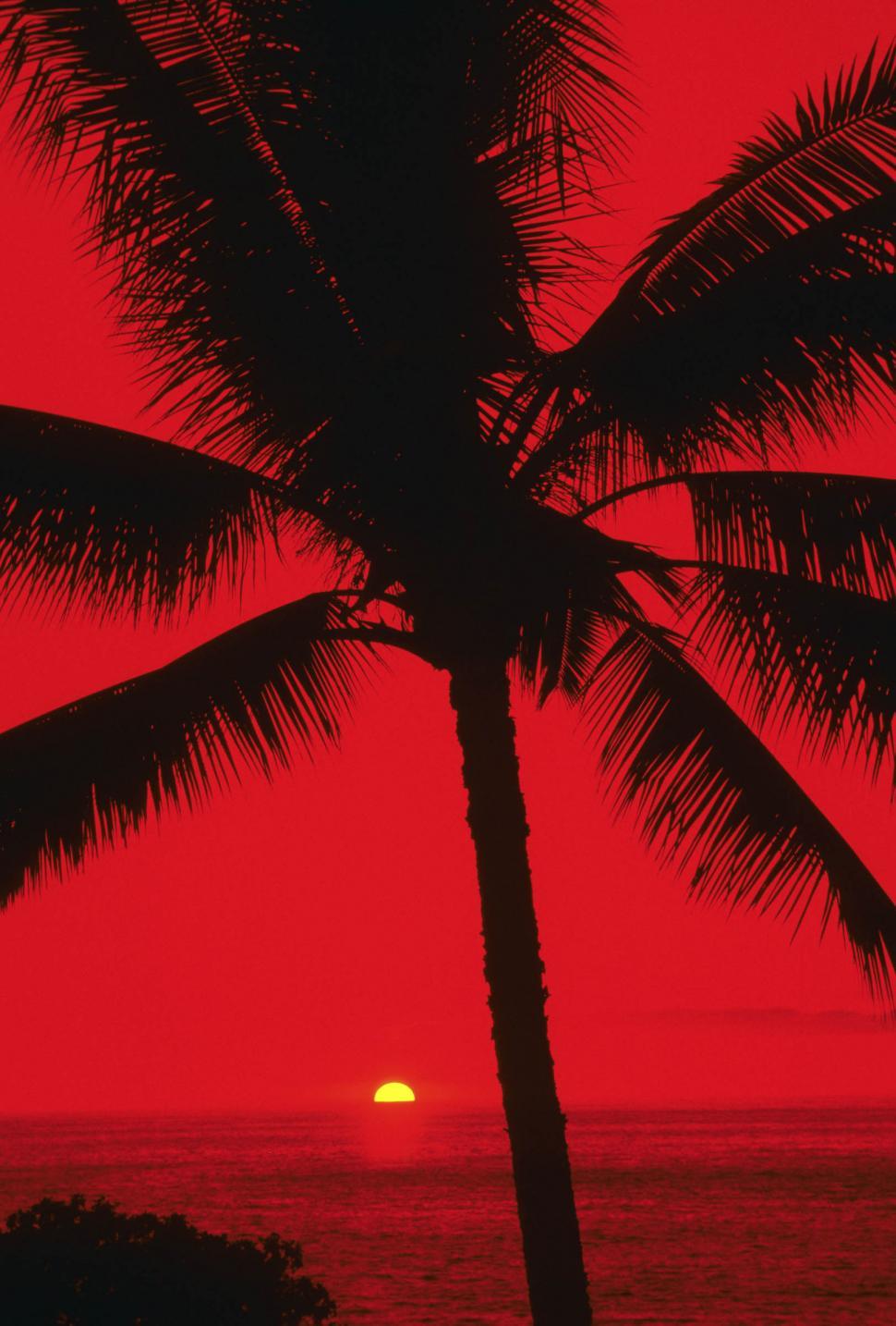 Free Image of sunset over ocean 