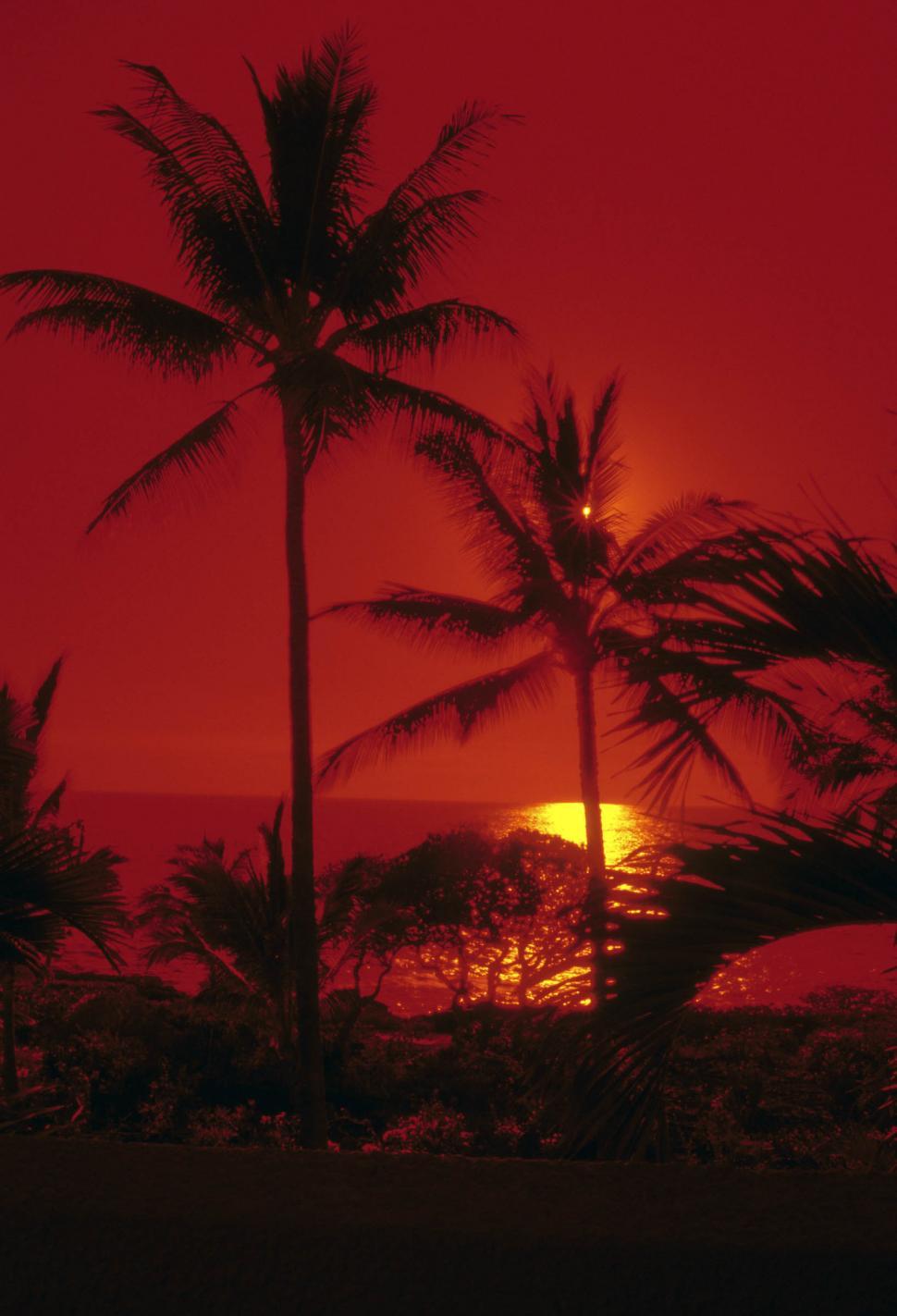 Free Image of sunset over hawaii 