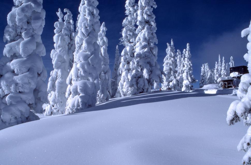 Free Image of Snow Covered Mountain With Cabin in Distance 