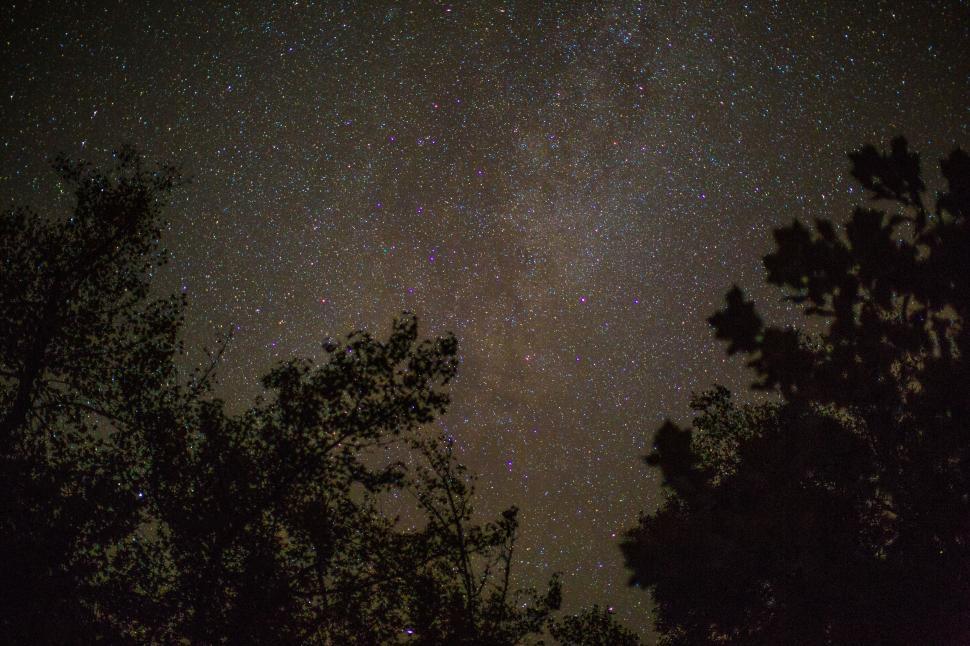 Free Image of Starry Night Sky Over Forest 