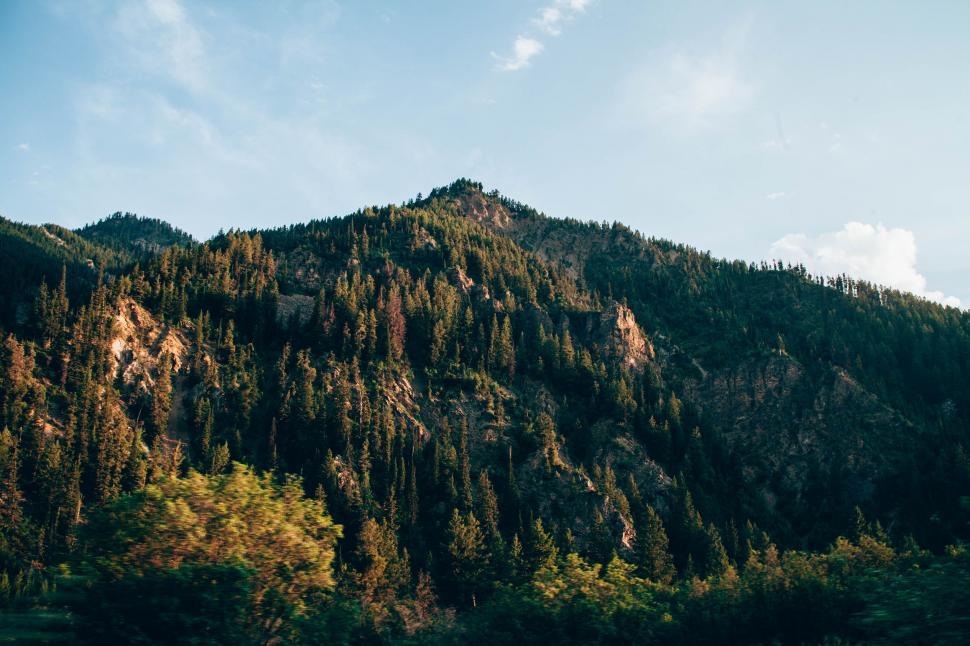Free Image of Towering Mountain Blanketed in Dense Forest 